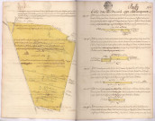 Arpentage et plan de pièces de terre sur le terroir de Ruffy, lieux-dits a Courte Teste, les Vignes de la Chambre, Le Chesnois (1759)