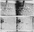 Septembre 1917. Champ de bataille des Caurrières (vue 1). Près du fort de Douaumont, 1917 (vue 2)