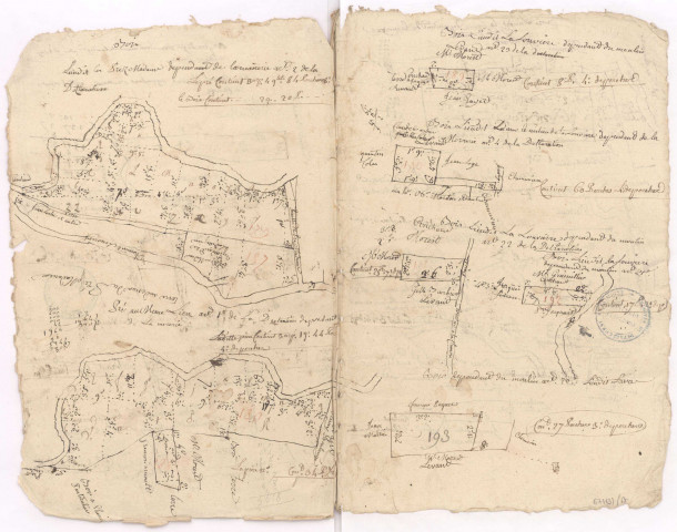 Plan terrier. Village et terroir de Bouy appartenant à Madame l'Abbesse d'Avenay, XVI-XVIIIème s. lieudit "le prez Madame", "bois la Louvièrre".