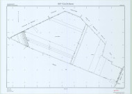 Vert-Toulon (51611). Section YG échelle 1/2000, plan remembré pour 2010 (rectification), plan régulier (papier)