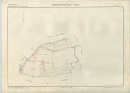 Bignicourt-sur-Saulx (51060). Section ZI échelle 1/5000, plan remembré pour 1973, plan régulier (papier armé)