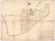 Copie du plan figuratif des bois dépendants de la communauté dygny Lejard, 1738.