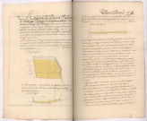 Plan de pièces de terre au terroir de Villers-Allerand : l'une au lieu-dit le Trésor , l'autre au lieu-dit les Charmes (1781), Dominique Villain