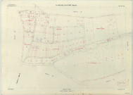 Neuville-au-Pont (La) (51399). Section ZR échelle 1/1000, plan remembré pour 1977, plan régulier (papier armé)