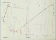 Beine-Nauroy (51046). Section ZD échelle 1/2000, plan remembré pour 1988, plan régulier de qualité P5 (calque).