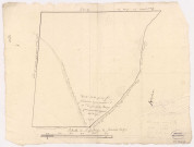 Plan des bois de Brugny pour l'année 1744 qui sera exploité en 1748.