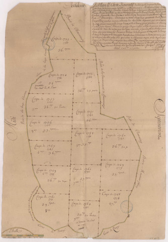 Plan et carte figuratif du bois appelé la Queue de l'Héron, dépendant de la Seigneurie de Pourcy dressé par Jacques D'Olizy, 1747.