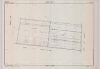 Marsangis (51353). Section ZL échelle 1/2000, plan remembré pour 01/01/1987, plan régulier de qualité P5 (calque)