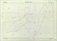Sivry-Ante (51537). Section ZB échelle 1/2000, plan remembré pour 1982 (extension Braux-Saint-Rémy section ZE), plan régulier (papier armé)