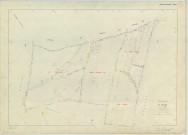 Saint-Amand-sur-Fion (51472). Section ZY échelle 1/2000, plan remembré pour 1982, plan régulier (papier armé)