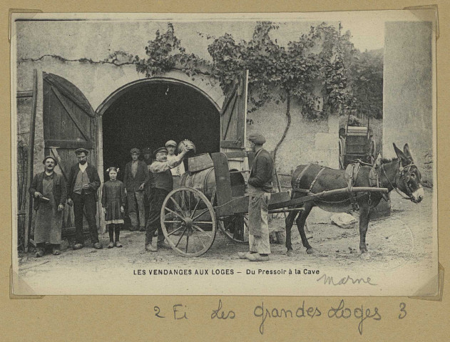 GRANDES-LOGES (LES). Les Vendanges aux Loges. Du pressoir à la cave.
