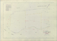 Rivières-Henruel (Les) (51463). Section ZM échelle 1/2000, plan remembré pour 1966, plan régulier (papier armé)