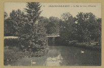 CHÂLONS-EN-CHAMPAGNE. 63- Le Pont du Cours d'Ormesson.Coll. N. D. Phot