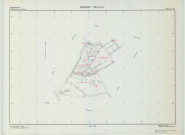 Bassuet (51040). Section ZN échelle 1/1000, plan remembré pour 1995 (extension sur Bassuet section ZI), plan régulier (calque)