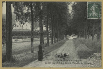 SAINT-MARTIN-D'ABLOIS. La Champagne illustrée. Saint-Martin-d'Ablois. Avenue du Château.
Édition Gremaux.[avant 1914]