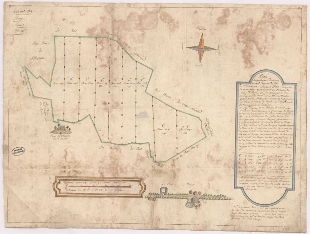Plan, arpentage et divisions en neuf coupons du bois de Saint-Maur situé proche le Petit-Fleury-en-la-Montagne (1724), Hazart
