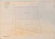 Warmeriville (51660). Section T3 échelle 1/1250, plan remembré pour 1923, plan régulier (papier).