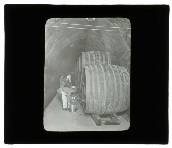 Soutirage du vin / Fs Rothier