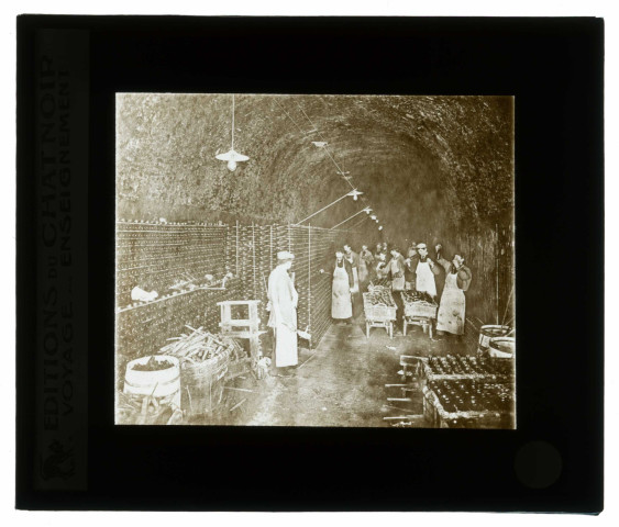 Les vins de Champagne. Entreillage des bouteilles ou mises sur lattes.