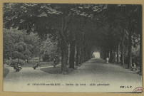 CHÂLONS-EN-CHAMPAGNE. 45- Jardin du Jard. Allée principale.
J. B.Sans date