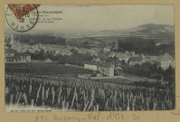 AVENAY-VAL-D'OR. Au pays du champagne. 93-Avenay et ses collines. Vue prise de la gare / E. Choque, photographe à Épernay.
EpernayE. Choque (51 - EpernayE. Choque).[vers 1908]