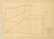 Granges-sur-Aube (51279). Section Z1 échelle 1/2000, plan remembré pour 01/01/1954, régulier avant 20/03/1980 (papier)