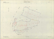 Binarville (51062). Section ZE échelle 1/2000, plan remembré pour 1975, plan régulier (papier armé)