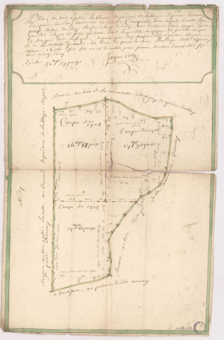 Abbaye d'Avenay. Plan du bois appelé Le Rarret, 1725.
