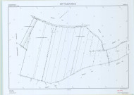 Vert-Toulon (51611). Section YX échelle 1/2000, plan remembré pour 2010 (rectification), plan régulier (papier)