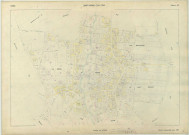 Saint-Amand-sur-Fion (51472). Section AE échelle 1/1000, plan renouvelé pour 1960, plan régulier (papier armé)