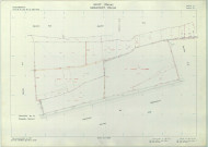 Valmy (51588). Section YT échelle 1/2000, plan remembré pour 1979 (extension sur Gizaucourt section ZL), plan régulier (papier armé)