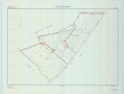 Vert-Toulon (51611). Section YI 1 échelle 1/2000, plan remembré pour 2009, plan régulier (calque)