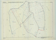 Saint-Remy-en-Bouzemont-Saint-Genest-et-Isson (51513). Section ZN échelle 1/2000, plan remembré pour 1985, plan régulier (calque)