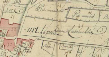 Plan géométrique d'Auménancourt-le-Petit, 1807 (3 P 025/1). Détail