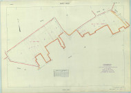 Saint-Vrain (51521). Section ZI échelle 1/1000, plan remembré pour 1962, plan régulier (papier armé)