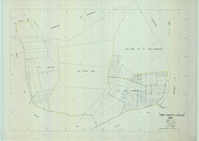 Saint-Martin-d'Ablois (51002). Section AI échelle 1/1000, plan remanié pour 01/01/1987, plan régulier de qualité P4 (calque)