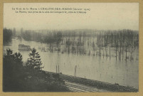 CHÂLONS-EN-CHAMPAGNE. La crue de la Marne à Châlons-sur-Marne (janvier 1910). La Marne, vue prise de la côte de Compertrix, côté de Châlons.