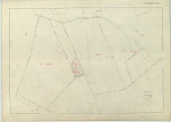 Saint-Amand-sur-Fion (51472). Section ZV échelle 1/2000, plan remembré pour 1982, plan régulier (papier armé)