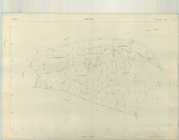 Trigny (51582). Section AD échelle 1/1000, plan renouvelé pour 1962, plan régulier (papier armé).