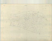 Trigny (51582). Section AD échelle 1/1000, plan renouvelé pour 1962, plan régulier (papier armé).