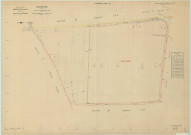 Mareuil-sur-Ay (Aÿ-Champagne 51030). Section D1 échelle 1/1000, plan refait pour 1954, plan régulier (papier).
