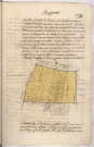 Plan du canton de la nauë chevalier situé au terroir de Bezannes 1787, Villain