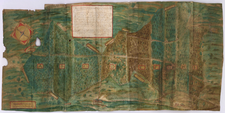 Plan et division des coupes du bois de Reims à Chaumuzy (février-mars 1642), Nicolas Lajoye