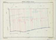 Cheppes-la-Prairie (51148). Section ZW échelle 1/2000, plan remembré pour 1989, plan régulier (calque)