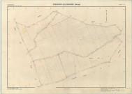 Passavant-en-Argonne (51424). Section ZD échelle 1/2000, plan remembré pour 1980, plan régulier (papier armé)