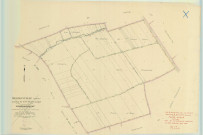 Hermonville (51291). Section X échelle 1/2500, plan remembré pour 1953, plan régulier (papier).