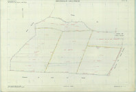 Wargemoulin-Hurlus (51659). Section ZD échelle 1/2000, plan remanié pour 1966, plan régulier (papier armé)