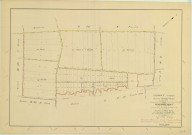 Val-des-Marais (51158). Coligny (51158). Section X2 échelle 1/2000, plan remembré pour 1954 (anciennes sections C3 et D1 ), plan régulier (papier)