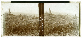 Verdun. Au Bois Fumin (n°843).