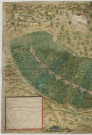 Plan des bois d'Ecueil (1631), La Joye